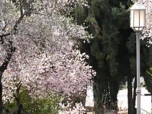 устала ждать – смотреть видео онлайн в Моем Мире | Наталья Реутова