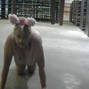 fat pig shaking again