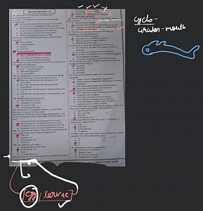How many types of gametes can be produced by a diploid organism... | Filo