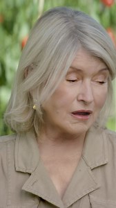 Start your garden with The Martha Stewart of Soil, Miracle-Gro. | Miracle-Gro