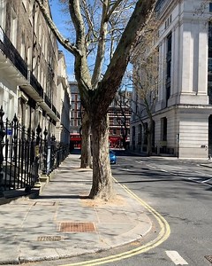 16K views · 3K reactions | Bloomsbury Square ❤️ | Love London | Facebook