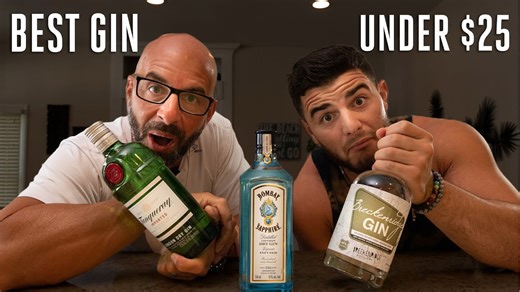 Budget gin showdown: Which $25 bottle tastes best? (Blind taste test)