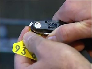 How to Apply Allflex Tissue Sampling Tags (TST) for DNA Collection in Calves
