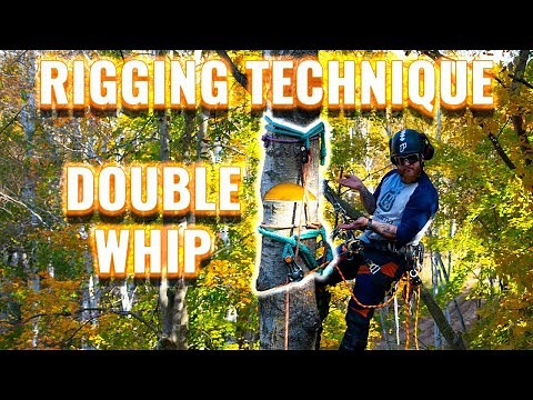 Tree Rigging Basics: Double Whip