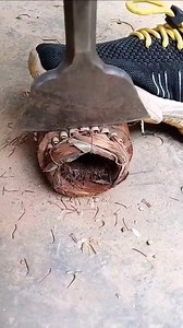 114K views · 290 reactions | Discover the incredible power of this...