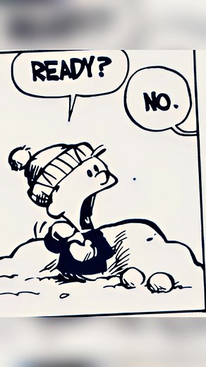 Calvin and Hobbes 🐯👦🏻📚 #calvin #hobbies #CalvinAndHobbes #calvinhobbes | Carew Ellington