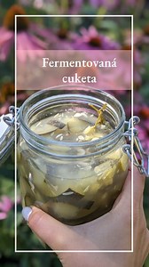 21K views · 430 reactions |  Fermentovaná cuketa? Aj ty nevieš čo...