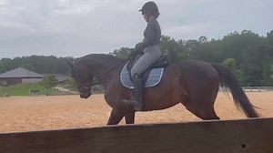 Chess moves. | Alfalfa and Omega | Facebook