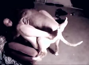 Woman holds dog between her legs while he fucks her