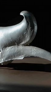 2.7K views · 19 reactions | Rhinoceros Hornbill Skull | Parts of Four | Facebook