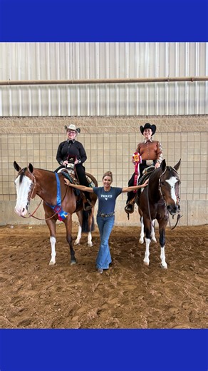 Pinto World Show update - We just got done with our fifth class, and now have SIX belt buckles! ￼ Jr. Amateur Walk Trot Trail - Champion Hot N Lopin Cowboy ridden by Kathryn Lee, Res. World Pitter Pat ￼Rhythm ￼ridden by Molly Hanninen  | Melissa Sachs | Facebook