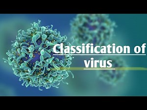Classification of virus