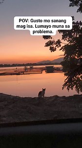 4.8K views · 61 reactions | SAN PABLO CITY on Reels | Facebook