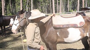 5 Star Pads are the trusted pad for long distance trail rides. Used by Heroes and Horses on their long distance rides to protect their horse's backs and get them to the end of their journey! Heroes and Horses provides a path to restoration by providing combat veterans who have been injured and/or diagnosed with PTSD a once-in-a-lifetime opportunity to reconnect with their strengths and develop their leadership potential. Their goal is to help as many veterans as possible, but they can’t do it al