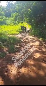 ➡️CAYÓ EL PELIGROSO DELINCUENTE "EDU PYSA GUASU" 🔊CAPIATA. Un peligroso delincuente llamadao Agustín Eduardo Fernández Acosta (26), más conocido como "Edu pysa guasu", considerado un verdadero dolor de cabeza ya fue denuciado por 12 personas por robo, cayó preso esta mañana después de asaltarle a una mujer. 🔊El delincuente cayó en la villa Morel ubicada sobre las calles Sin Nombre casi Teniente Salinas, frente a Petrosur, Ciudad de Capiatá. 🔊Policías de la comisaria zonal apoyados por Linces,