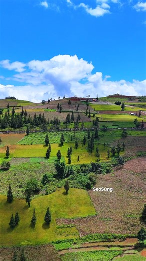 Thảo Nguyên Suôi Thầu đẹp ở mọi góc nhìn . | Seo Súng