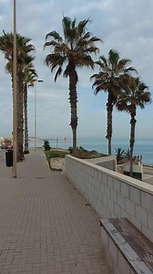 Beautiful day in La Mata Alicante Spain #spain_vacations #playa #vacationtime #alicanteturismo #alicante #traveltheworld #travelday #spain #spaintravel #beaches #travel #travelphotography #travelling #beach #beachvibes #beautiful #BeachLife #playa #vacation #vacation2024 #sunset #day . | Osvany Felicó
