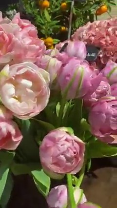 Enjoy my floral tour of this sumptuous florist in Paris I found on my way to the Musée Rodin which was also a very gorgeous experience I have one place left for my May French Art School Tour and have just opened my Bloons France art immersion for June. Max of 6 per group and our own chef . Here’s the link to the bloons workshops and tour options . A bientôt ! ( see you soon!) https://artscreativehub.com/workshops/ | How to paint with Jacqueline Coates