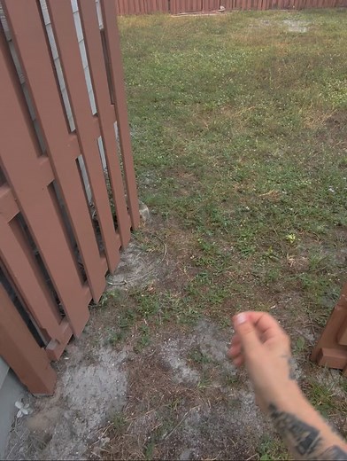 🏡 Starting the outside portion of today’s home inspection! This 2-bedroom, 1-bath home is getting a full 4-Point Inspection and Wind Mitigation for the closing process. Let me show you guys a quick walk-through as I check the exterior, roof, structure, and overall safety of the property. 🔍✨ Whether you’re selling, buying, or prepping your home, a quality inspection can save you money, protect your investment, and give you peace of mind. 🔹 Full Home Inspections 🔹 4-Point & Wind Mitigation 🔹