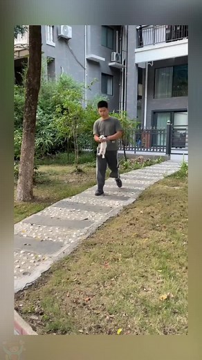 Engaging Moments: Families Interacting with a Rabbit