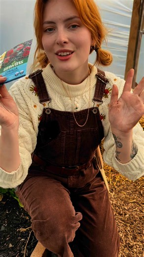 How to grow dahlias from seed 🌸 #gardeningtips #gardening | In The Cottage Garden