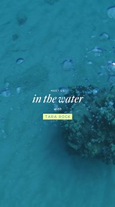 1.7K views · 15 reactions | Meet Tara Rock, a Hawaiʻi-based photographer, surfer, and mom whose unique style is a reflection of her vibrant spirit and creative vision. A founding member of House of ALOHA, her work is featured prominently in our campaigns, and we are constantly inspired by her edgy style and aesthetic. https://aloha-collection.visitlink.me/s6Rb1r | ALOHA Collection | Facebook