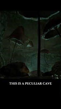 Discovering Toadstool Hollow | Skyrim RP