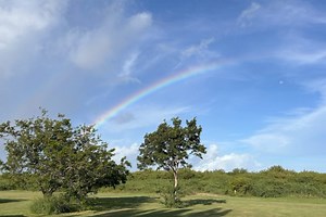 2.6K views · 18 reactions | Iguana Hunters on Reels | Facebook