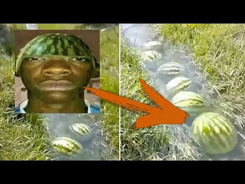 WATERMELON RIVER MEME COMPILATION