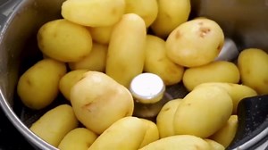 High-Speed Automatic Potato Peeler Electric - for Potatoes, Carrots, Apples - 70-100kg/h Output, 5kg/12L & 10kg/22L Capacity, 550W/750W Heavy Duty Machine 10kg/22L