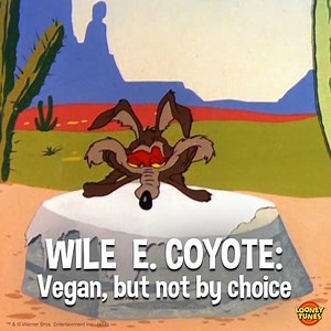 35K views · 873 reactions | Just waiting on a roadrunner flavored veggie burger like... | Looney Tunes | Facebook