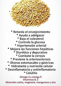 Leche de alpiste para perder peso. Sígueme para más recetas 👉 Cocina Saludable Hans Román | Hans Román