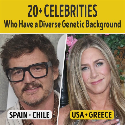 59K views · 237 reactions | 20+ Celebrities Who Have a Diverse Genetic Background | Bright Side | Facebook