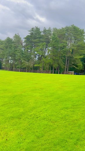 1.6K views · 18 reactions | Culzean Castle for the love of trees! | The Queen of Peace- OYI Podcast | Facebook