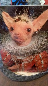 Well I’m FINALLY getting this month’s raffle up! So much good stuff and it’s valued at over $500 worth of items including lots of products I make and sell on my website! Shelby is 8 1/2 weeks old and I’m raising funds for her vet care. Last week we had a generous anonymous donor but we have lots of vet visits coming up along with needing a dna test to know what breeds Shelby is in order to find her the perfect family to adopt her! We have a custom made 120 piece Queen Holly puzzle, a couple magn