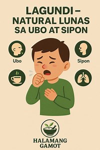 1.3K views | Lagundi – Natural Lunas sa Ubo at Sipon | Halamang Gamot | Facebook