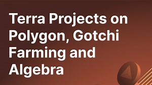 Terra Projects on Polygon, Gotchi Farming and Algebra