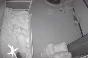 Huge spider descends on baby in chilling clip