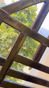 ll ✨🦋 PARDESHIYA lTNA BATA SAJNA TERE KOUN HU MAlN ? 🦋✨ ..... | Aranaya Gupta