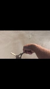 The storm washed so much stuff ashore #detecting #beach #crazy #coob #ckg #scoop #minelab #sand | Joe Digger