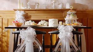 24 Set Large Wedding Pew Bows with Long Tulle Tails Church Chair Aisle Decorations Wedding Car Decoration Big Bows for Bridal Shower Reception Birthday Anniversary (White)