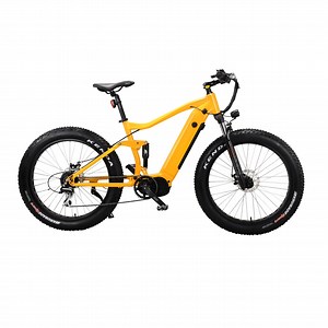 [Hot Item] Bafang 1000W Full Suspension Fat Tire MID Drive Mountain MTB Electric Bike