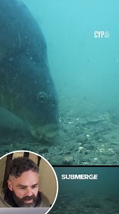 2K views · 22 reactions | ZERO VISABILITY!  #cypography #submerge #carpfishing #underwater | Elliott Gray Cypography | Facebook