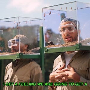 4.5K views · 29 reactions | AJ was the first to go.. Would you last in THE BOX? 荒荒荒 | Beta Squad | Facebook