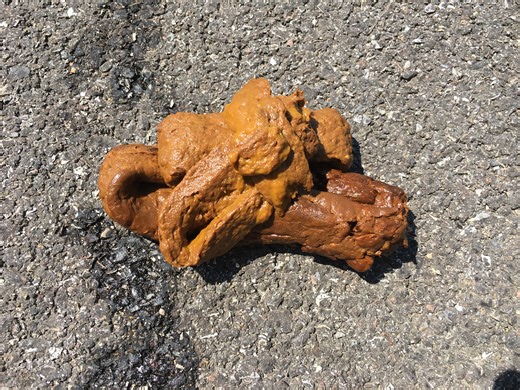 urgently need to poop while you go to work