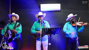 Trío Corcel Huasteco 👌👌👇👇 | CANAL ::: Mexico Impulsando La Música Huasteca