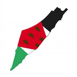 Animated Map Palestine Filled Colors Palestine Stock Footage Video (100% Royalty-free) 3639408043 | Shutterstock