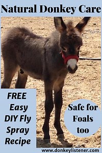 Homemade Fly Spray for Donkeys - The Donkey Listener