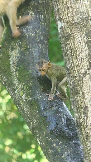 Slippery when wet #LovelyMonkey | Lovely Monkey