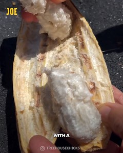 632K views · 273 reactions | I need to try this asap  | Comedy JOE | Facebook